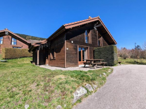Chalet familial avec cheminée à Gérardmer - FR-1-589-37